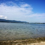 11995407_10153611898763688_1382915366_n