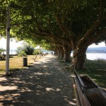 11997088_10153611898788688_142123800_n