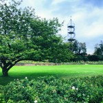 12000083_10153611898633688_438250409_n