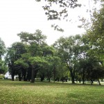 12007057_10153611898783688_1974405325_n