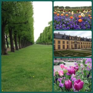 image-20130519002703