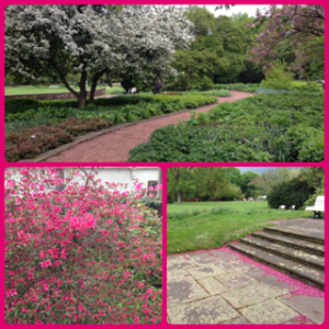 image-20130519002847