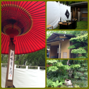 image-20130519134154